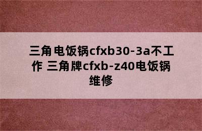 三角电饭锅cfxb30-3a不工作 三角牌cfxb-z40电饭锅维修